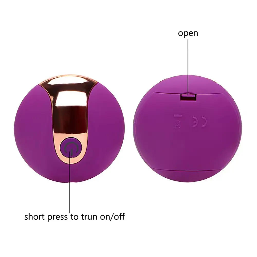 Panty Vibrator.jpg